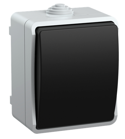 58447