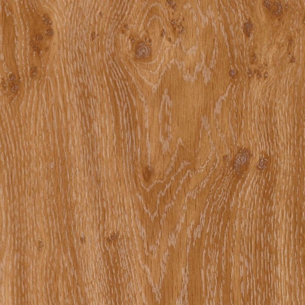 w908-dub-suchkovatyy-temnyy