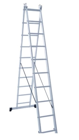 101