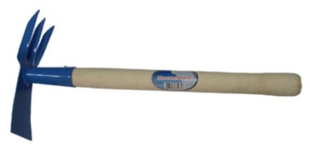 24