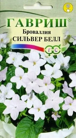 orig - 2026-02-06T081047.910