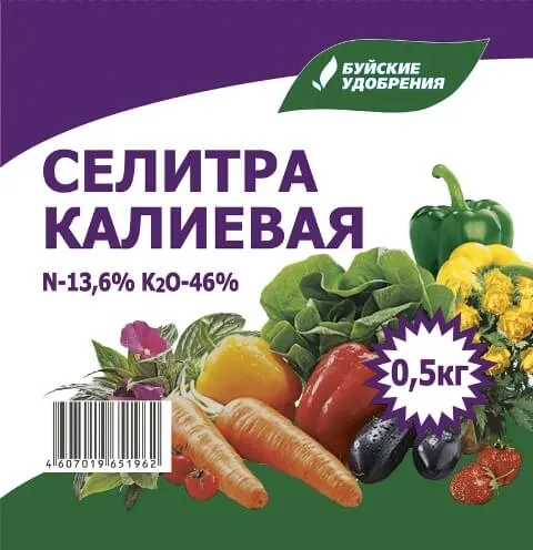 160301594_001